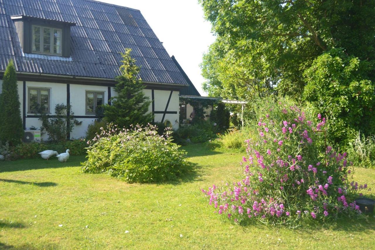 Byens Rareste B&B Harlev  Экстерьер фото
