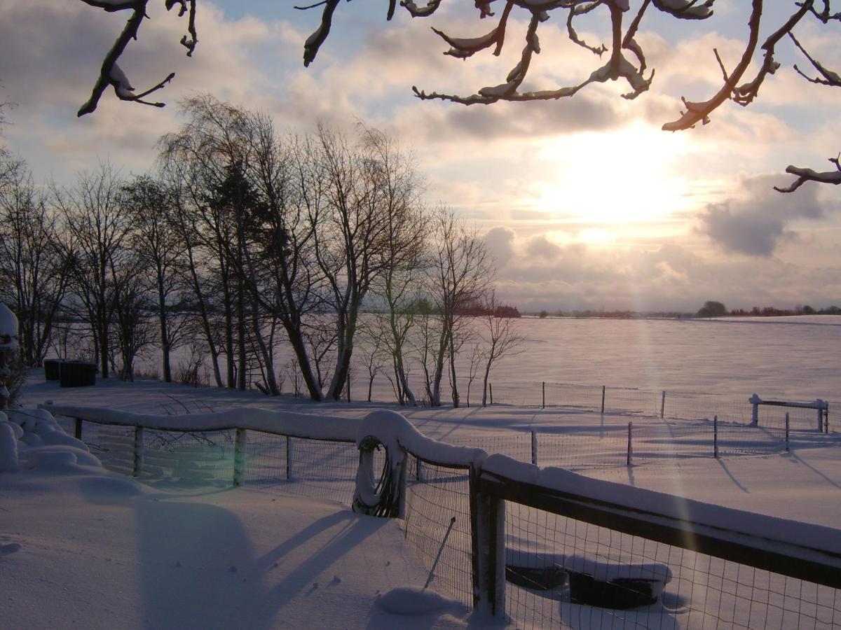 Byens Rareste B&B Harlev  Экстерьер фото