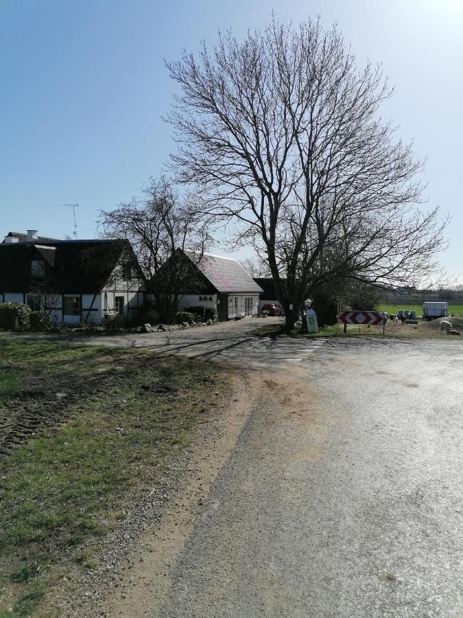 Byens Rareste B&B Harlev  Экстерьер фото